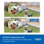tp-lINK TAPO C420 Cameră de supraveghere cu acumulatori, Senzor imagine: - imagine 4