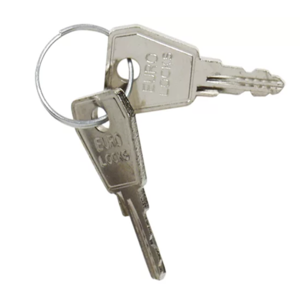 Honeywell Cheie de rezerva 901 pentru centrala, 2 bucati;